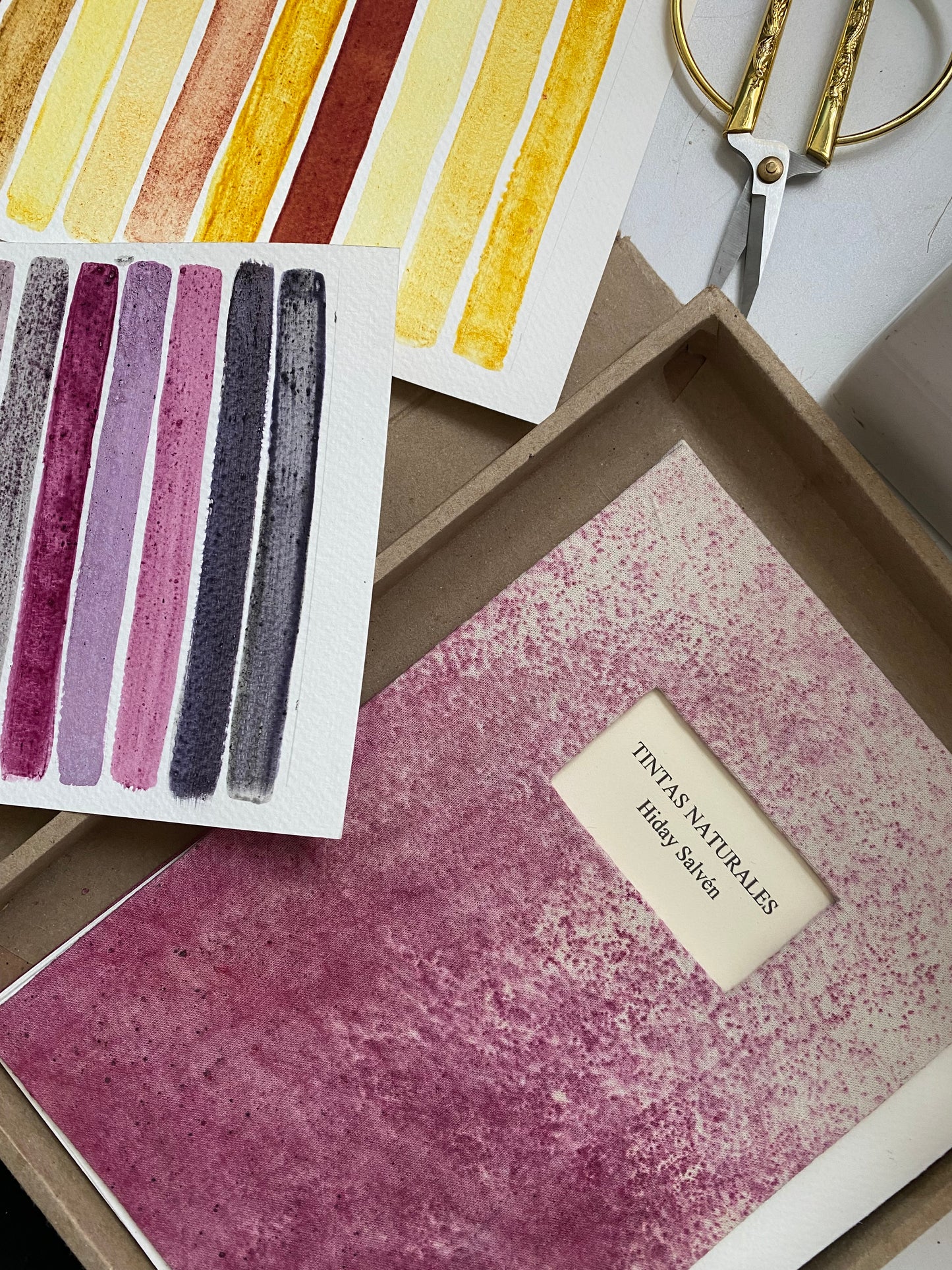 Tintas botánicas
