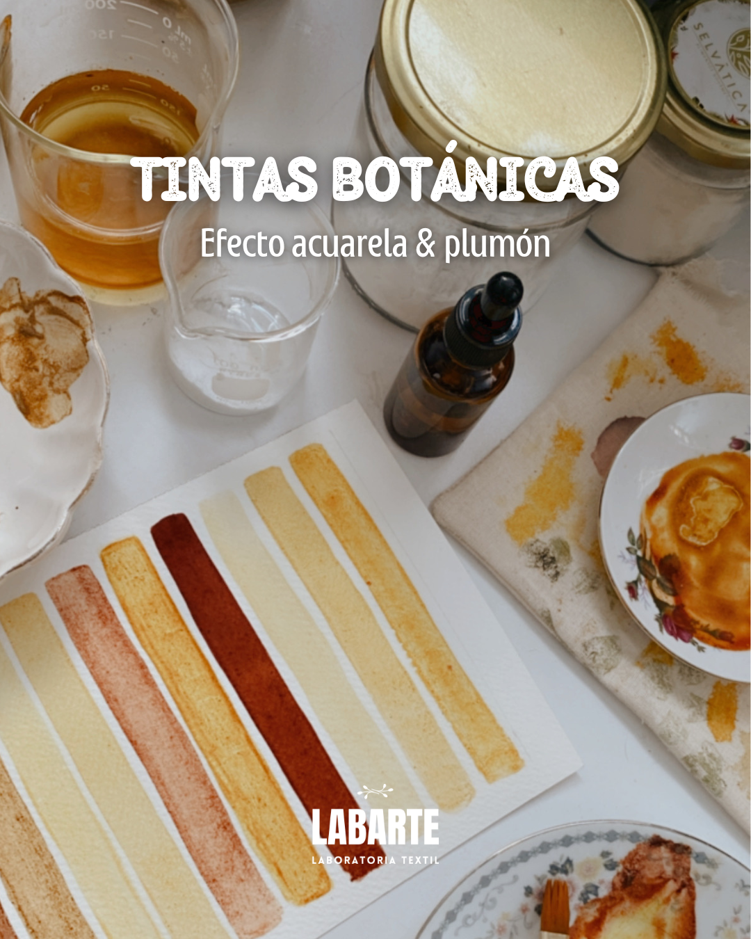 Tintas botánicas