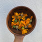 Cempasúchil (Tagetes erecta)