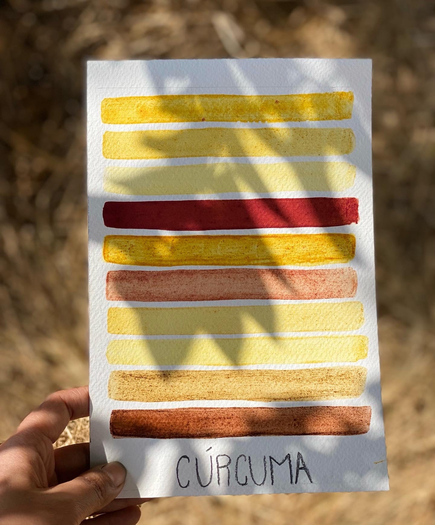 Tintas botánicas