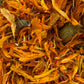 Cempasúchil (Tagetes erecta)