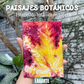 Taller Paisajes Botánicos