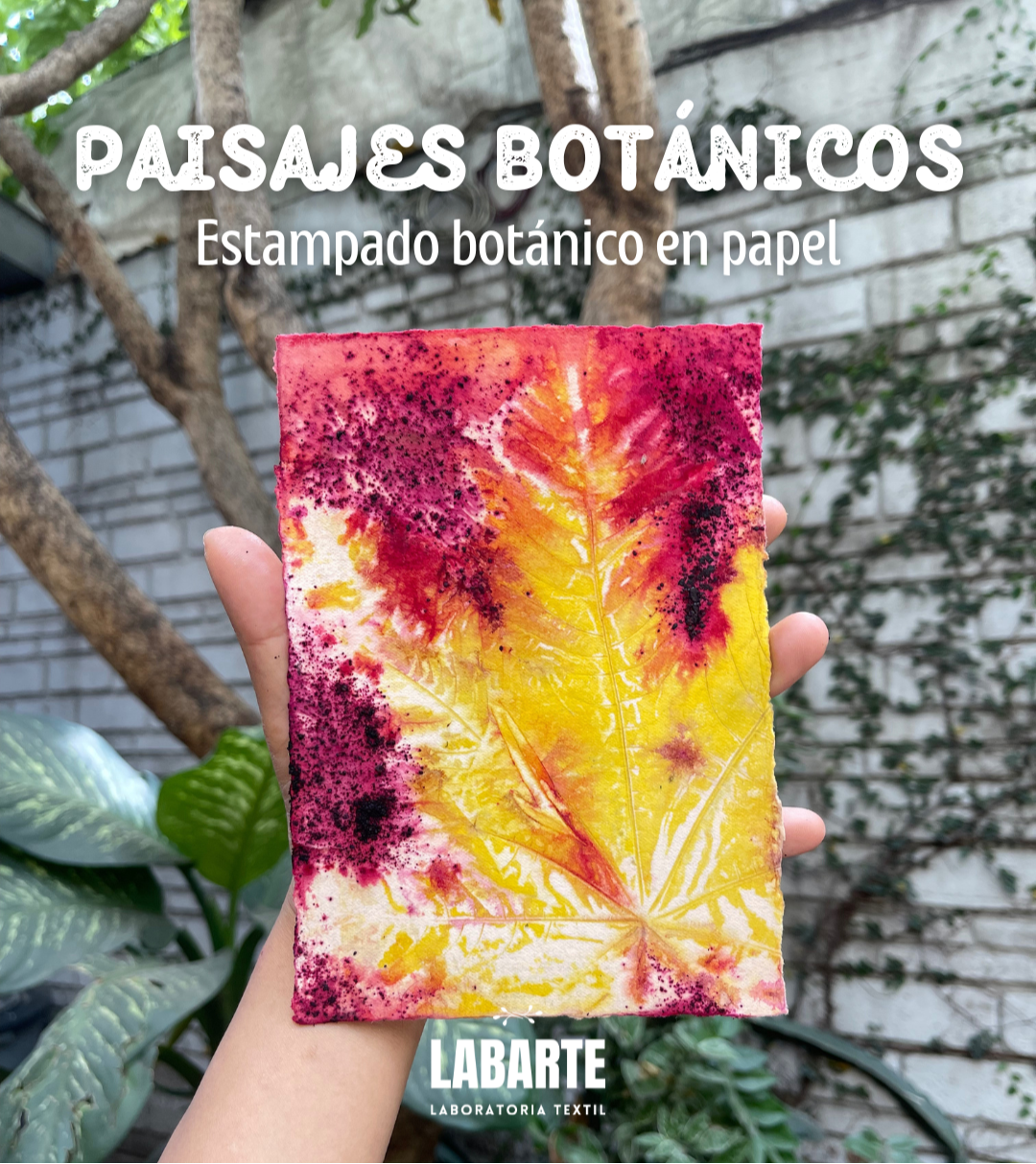 Taller Paisajes Botánicos